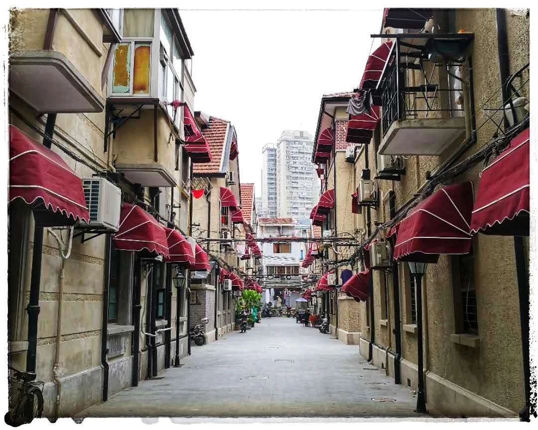 上海公租房动迁款分割最新案例,上海公房承租房继承最新政策