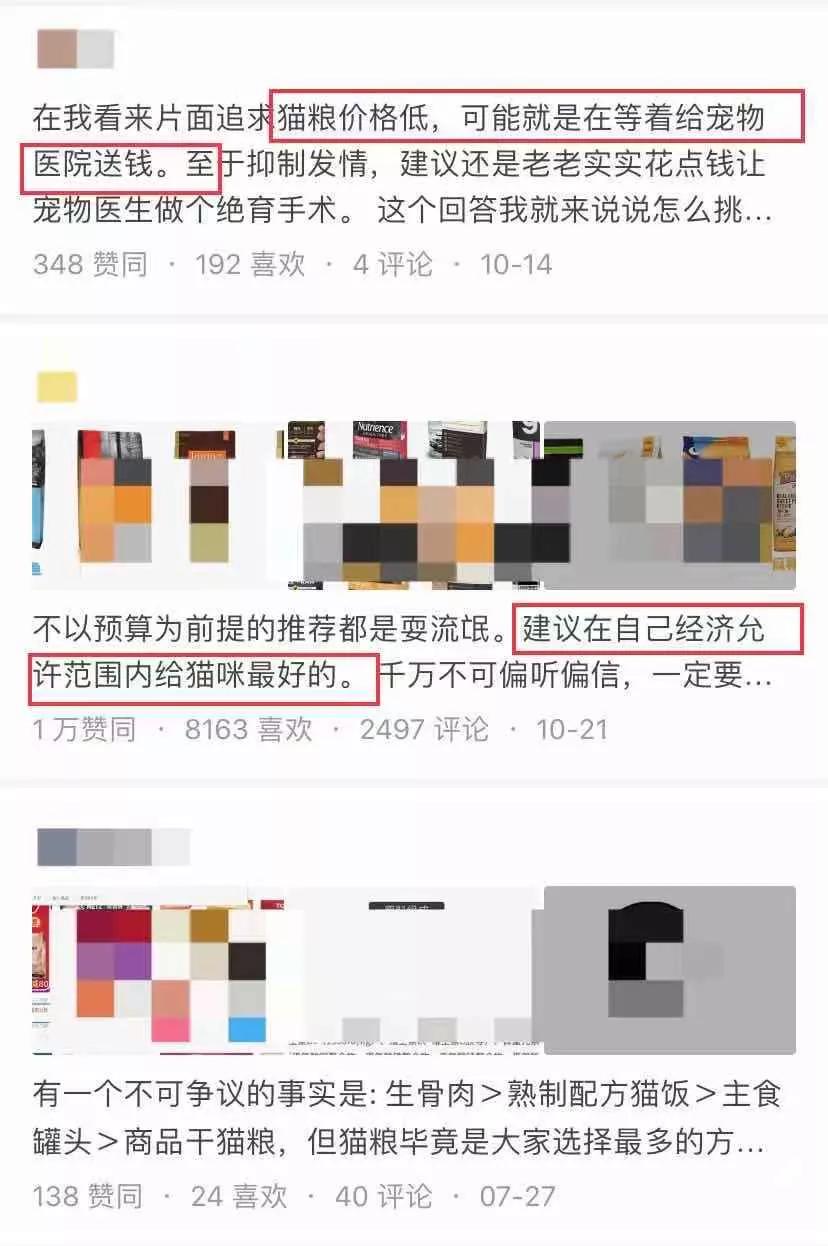 本以为养猫是为了不孤单,以为单身就可以自由