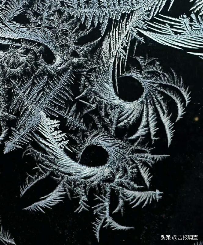 玻璃窗上的霜花像什么,玻璃上的霜花是什么样子
