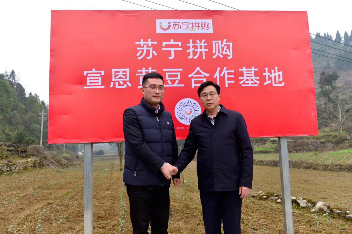 苏宁拼购电商怎么样,苏宁拼购为什么这么火了