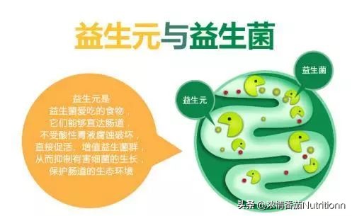 儿童营养奶粉3-12岁成长奶粉,婴儿配方奶粉知识大全