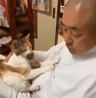 猫咪踩奶的时候看着猫咪会喵喵叫,怎么教不会踩奶的猫咪踩奶