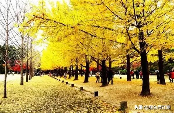 济州岛主要景点在哪个区,济州岛旅游景点排行第几位