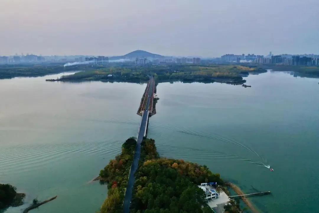 合肥春节免费景点一览表,合肥网红免费打卡景点