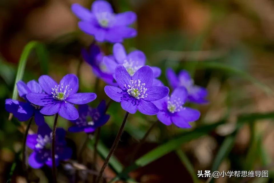 垃圾分类的优秀作文300字,垃圾分类的优秀作文一年级