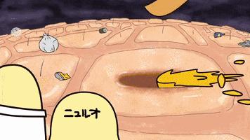 赵丽颖黑头,赵丽颖素颜照片真实对比