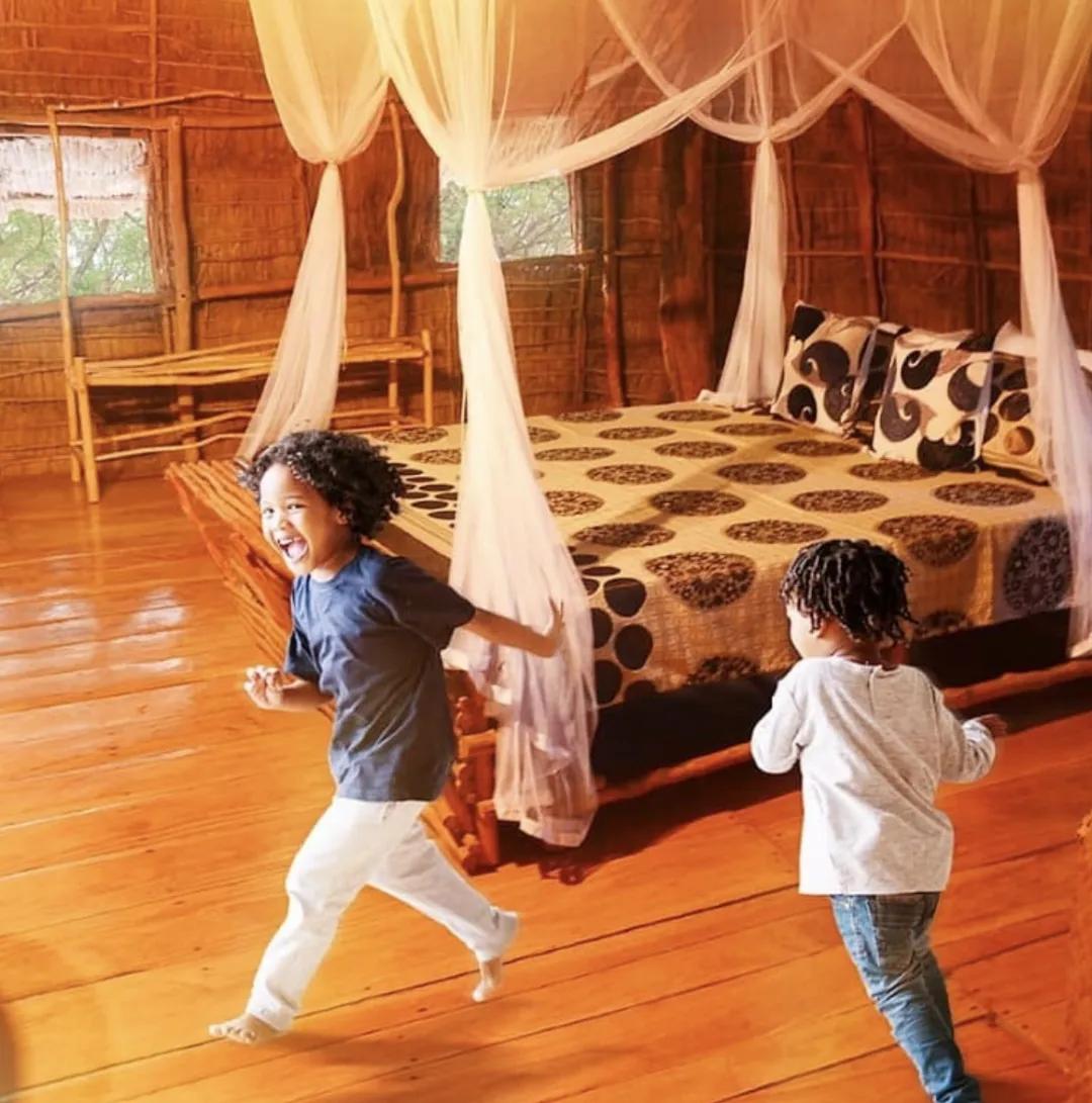 看了就想养的宠物,看了就想养宠物的视频