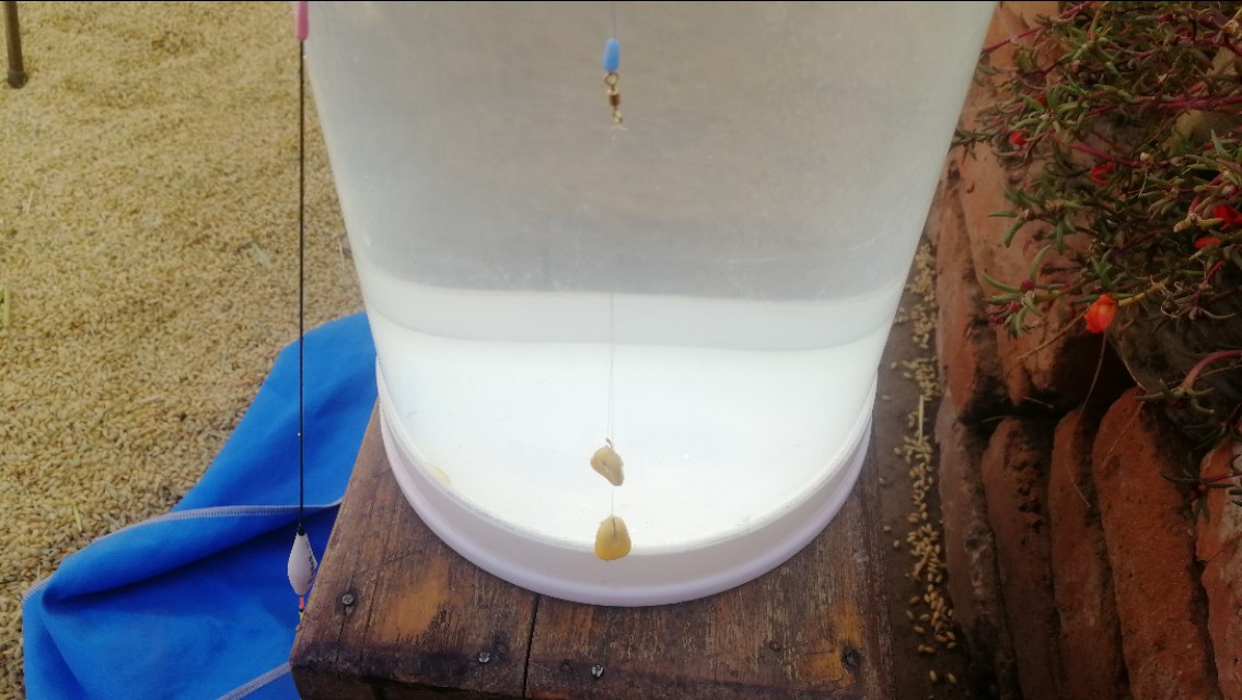 钓浮的调漂的正确方法图解,钓浮调漂的正确方法与技巧