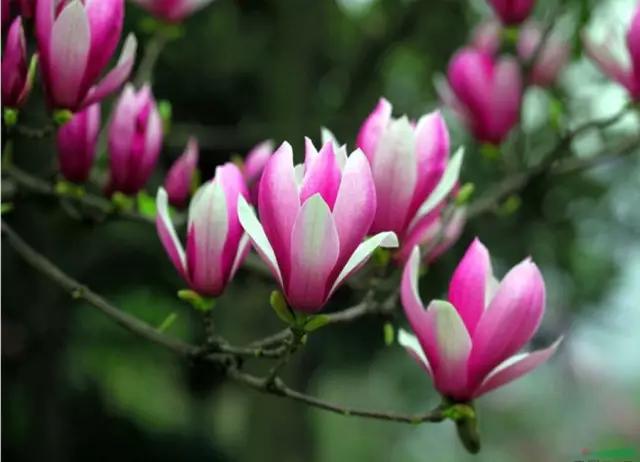 在宜昌的路上最美的风景,去感受大宜昌的美