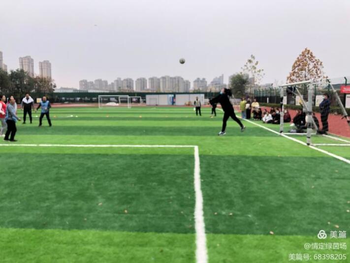 龙湖实验小学足球队,新郑市龙湖外国语小学足球