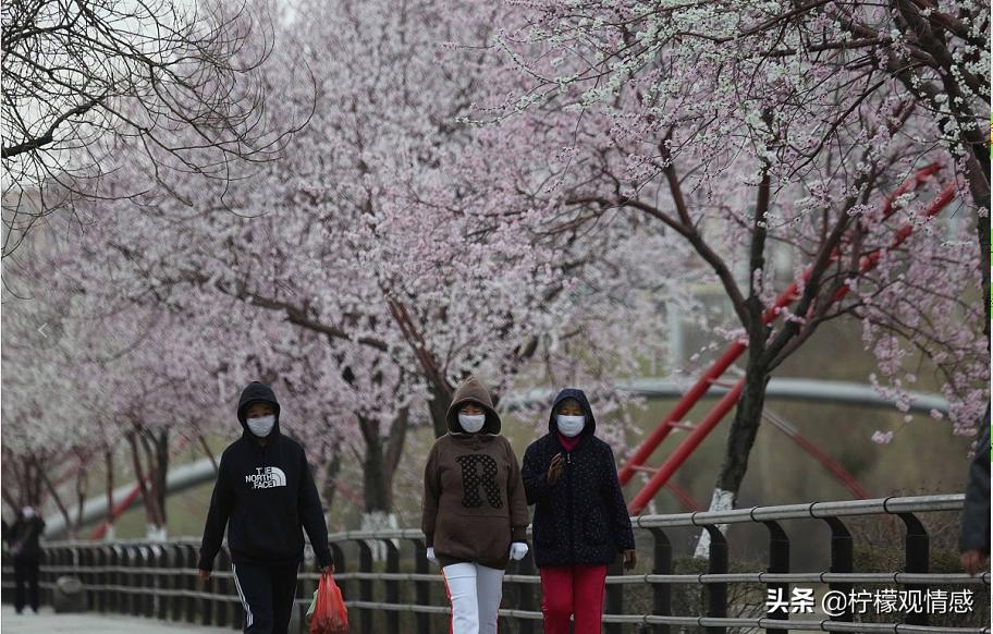 疫情下爱情故事真实吗,疫情中的爱情真实故事