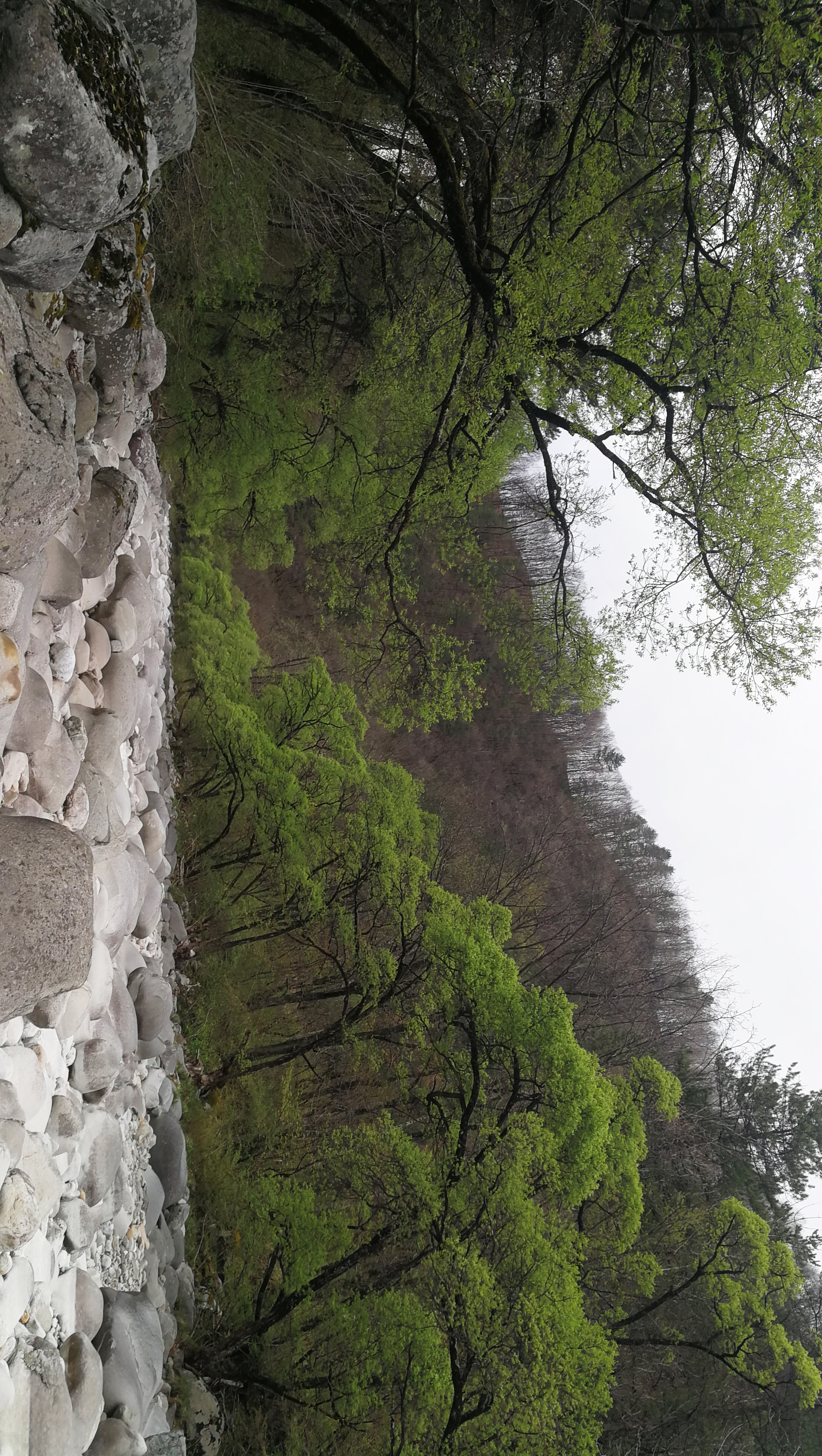 西安周至踏青赏花的路线攻略,周至老县城旅游攻略