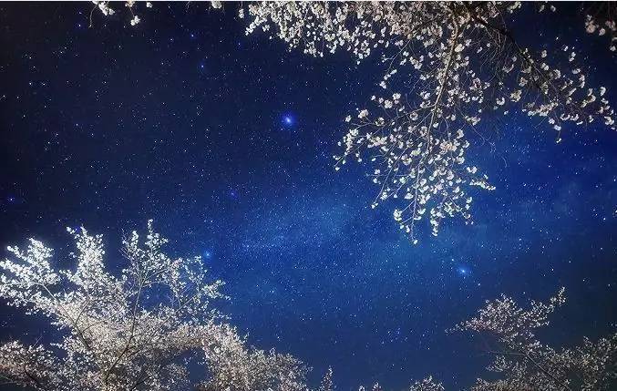 极致浪漫的古诗句,云淡风轻诗句古诗