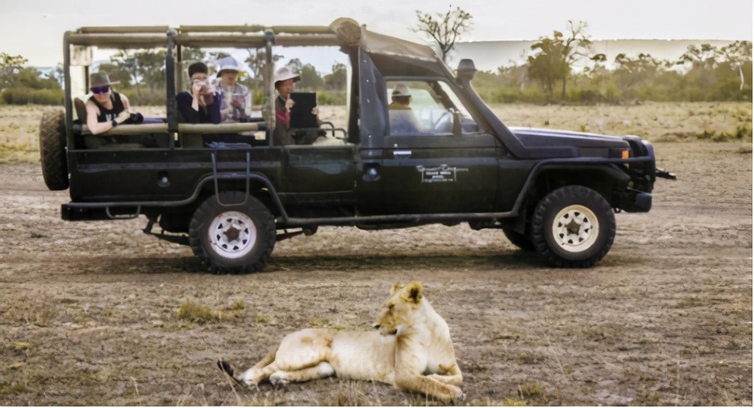 去非洲草原，要怎么做，才能不被狮子吃掉？