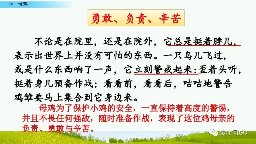四年级下册语文母鸡课文重点讲解,四年级下册语文14课母鸡重点知识