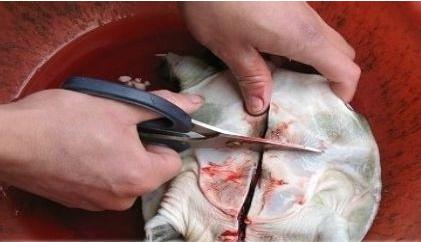 青盐甲鱼是苏州唐静涵家法