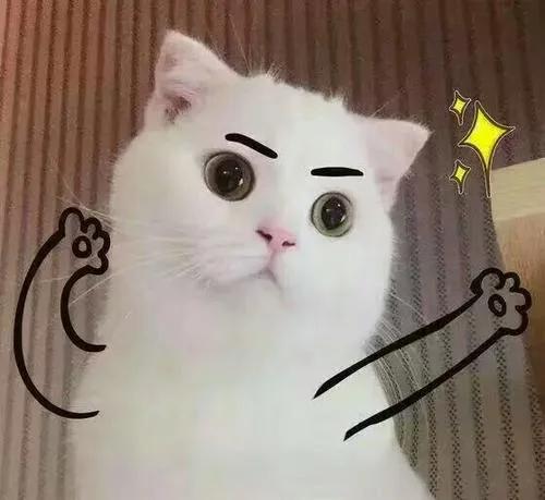 面颊内侧凹陷如何改善,脸颊小凹陷