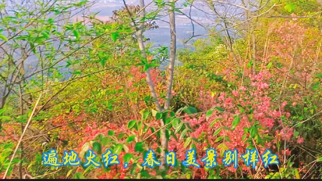 春日新余,美丽钢城新余