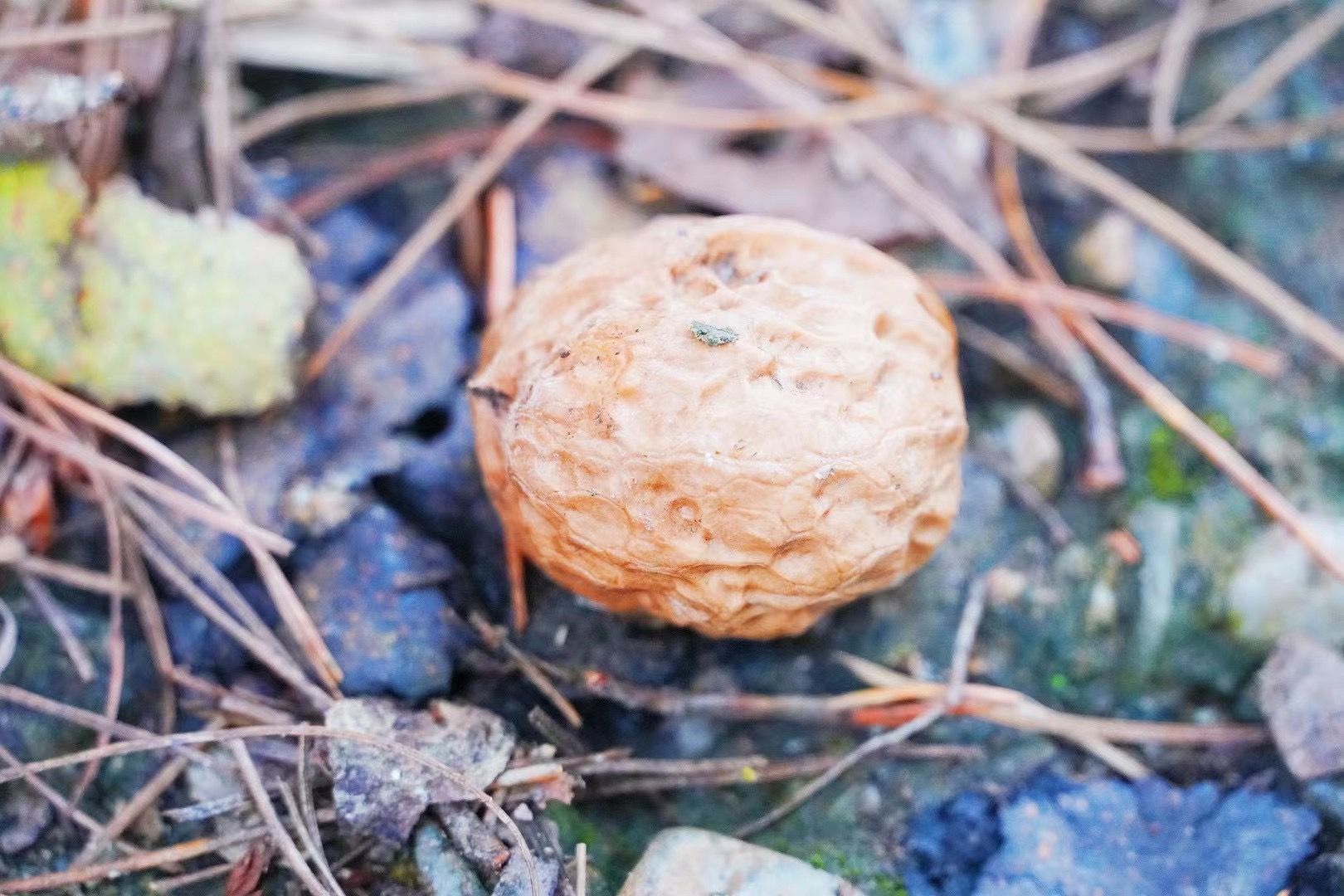 “乡”约丽江塔城，这里有你向往的田园生活