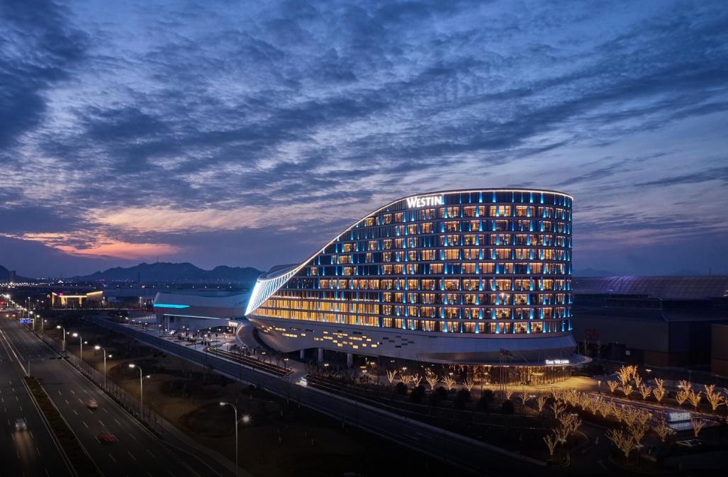 海滨老城泡桐花 (海滨老城紫色泡桐花)