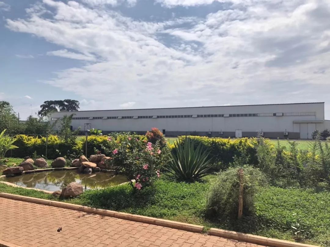 安德鲁打工记：我在中国工厂的流水线上做非洲芒果干