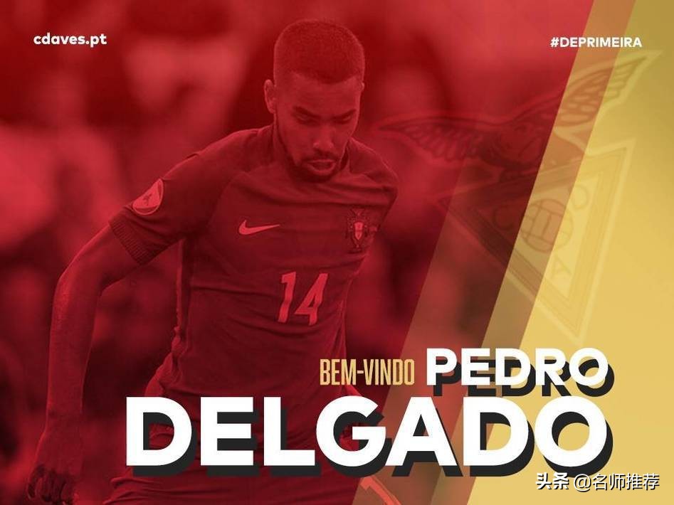 鲁能德尔加多资料,鲁能德尔加多回济南了吗