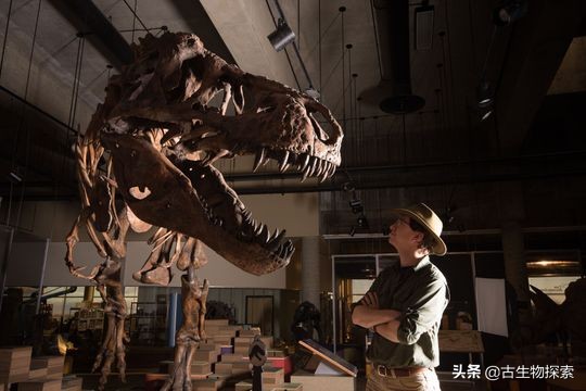 古生物学家恐龙化石霸王龙,中国发现霸王龙化石