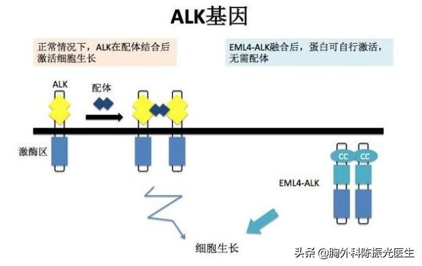 肺中分化腺癌术后用化疗吗,肺中分化腺癌手术后需要治疗吗