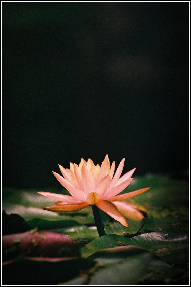 关于二手（这是个沉重而有趣的话题）