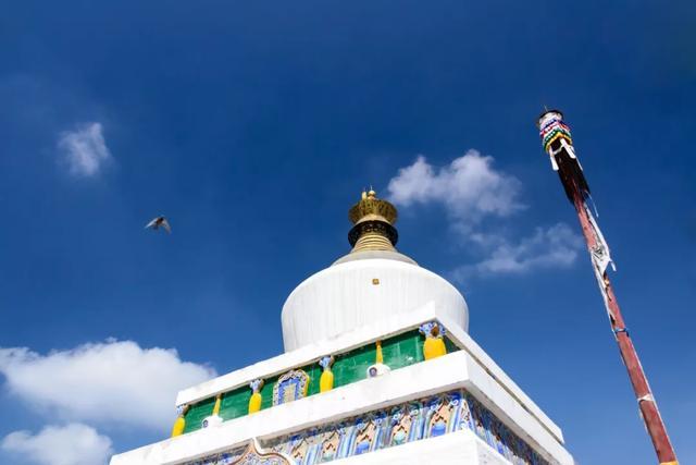 中国护照免签最新消息,中国护照免签2024汇总