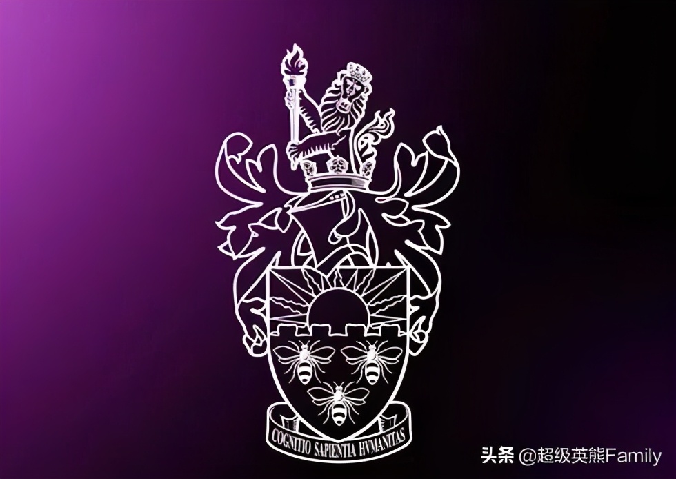 英国金史密斯艺术大学设计学,英国金史密斯艺术学校怎样