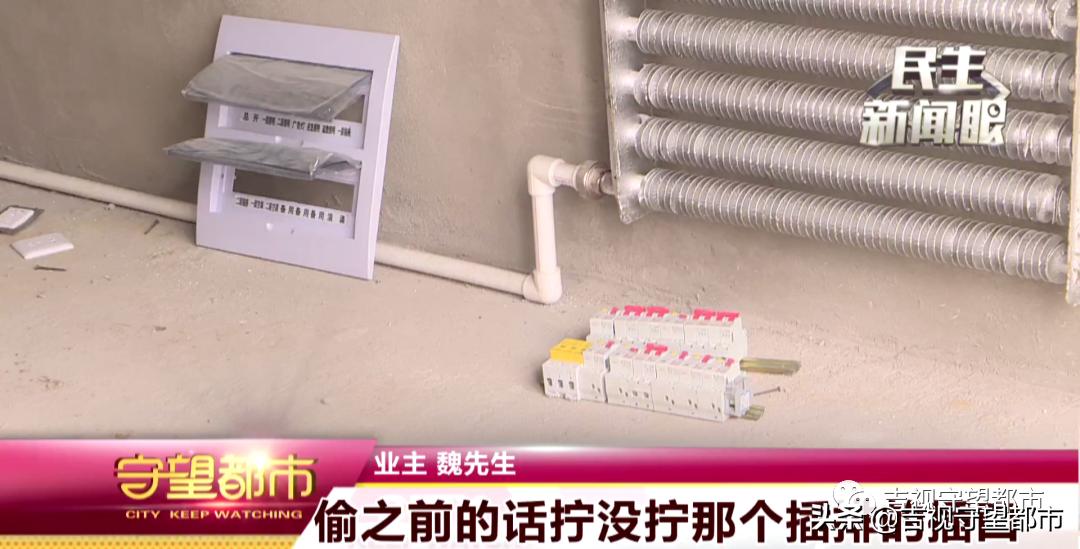 吉森·漫桦林:下房两年后验房,结果电线竟然丢了?