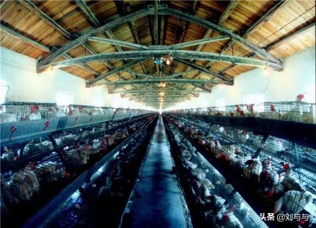 兖州兴隆庄煤矿最新消息,兖州兴隆庄煤矿全名