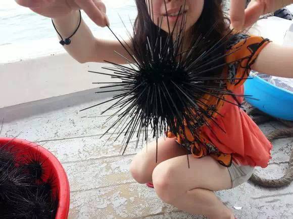 中国海鲜河鲜,市场河鲜海鲜种类大全