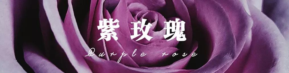 花店常用玫瑰花品种大全,一篇文章带你认识三亚40种花