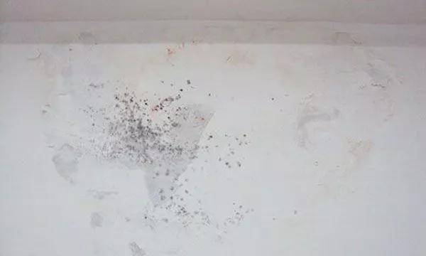 墙面发霉起泡怎么办,墙面发霉彻底解决小妙招