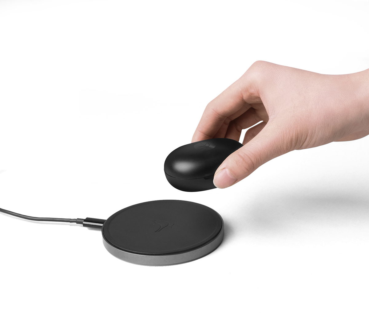 灏忛笩钃濈墮闊崇bird,灏忛笩trackair+璇勬祴