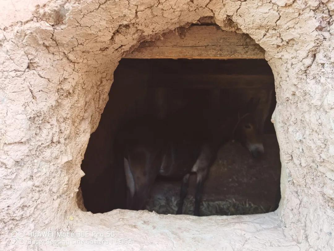 2023平遥国际摄影节获奖摄影作品,2009大理摄影展获奖作品