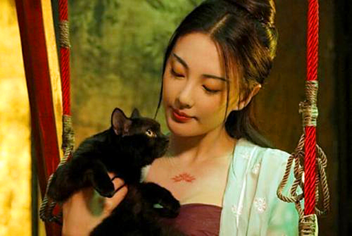 黑猫为啥凶得很,黑猫花色