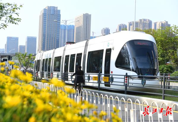 打通产业和市场循环，全要素为企业“舒筋通骨”增强经济韧劲