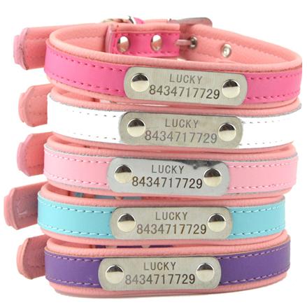 环球宠物用品,十年深耕专业市场