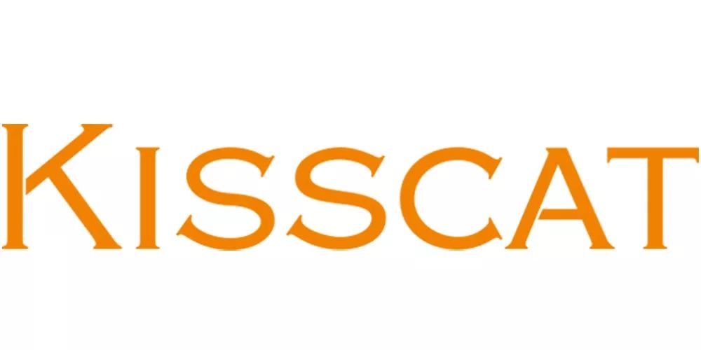 中国高端鞋上市公司,13家上市公司排名