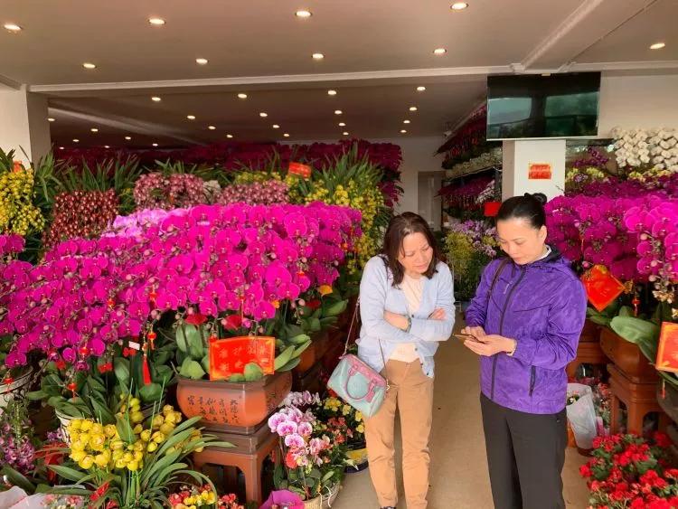 年宵花争奇斗艳价格亲民惹人爱,春节最流行的年宵花颜值高寓意好