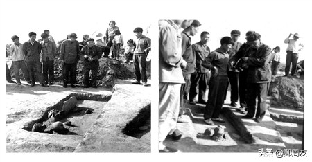 裴李岗遗址挖出来的东西,河南发现裴李岗时期遗址