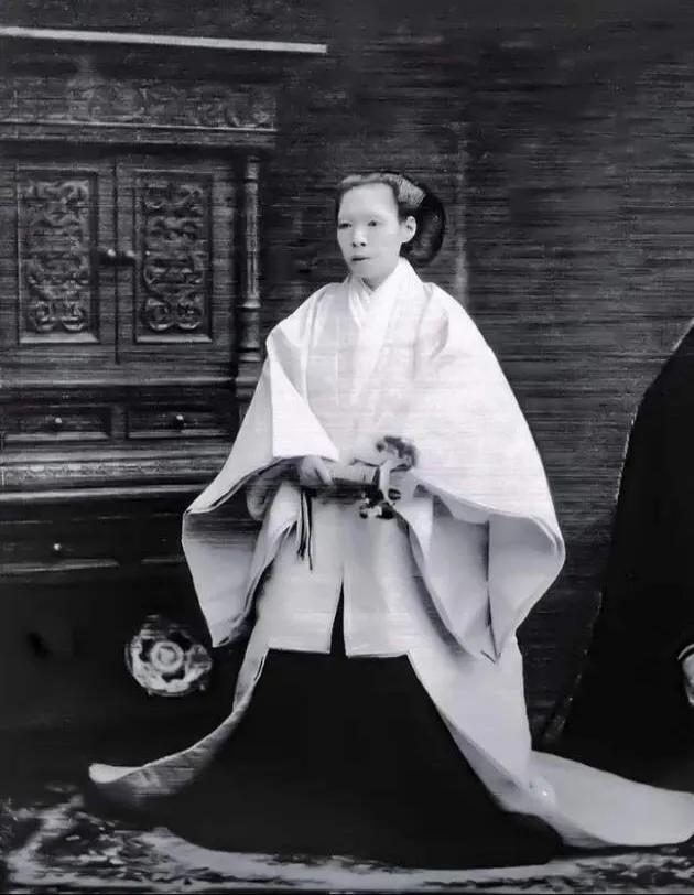 日本天皇史,日本明治维新明仁天皇