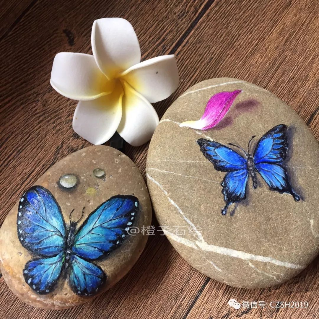 石头画蝴蝶教程视频,在石头上画蝴蝶用丙烯颜料