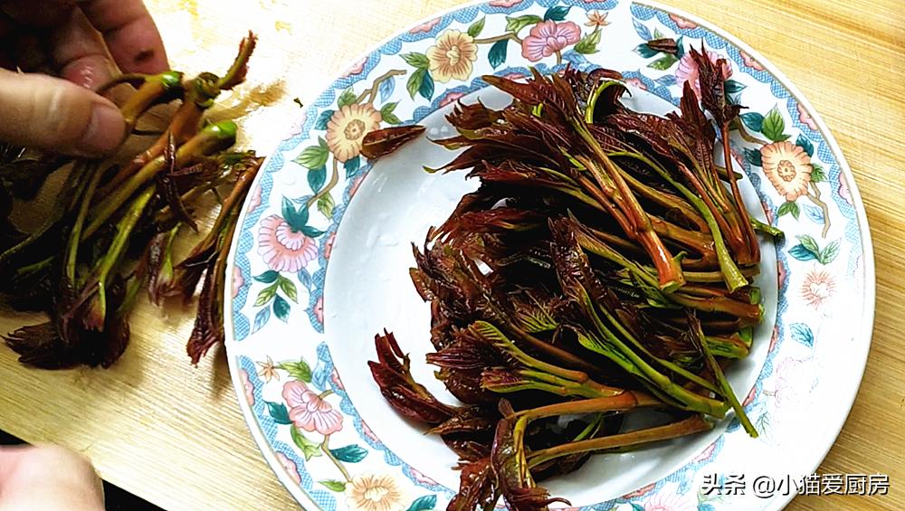 香椿有哪些做法好吃又简单,香椿最好吃的十种做法