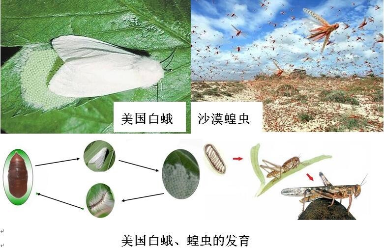 临沂市生物实验操作考试视频,临沂物理实验操作考试试题