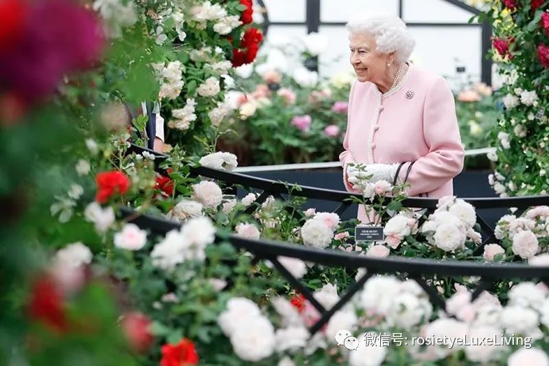 英国央行紧急降息通知,英国紧急降息最新消息