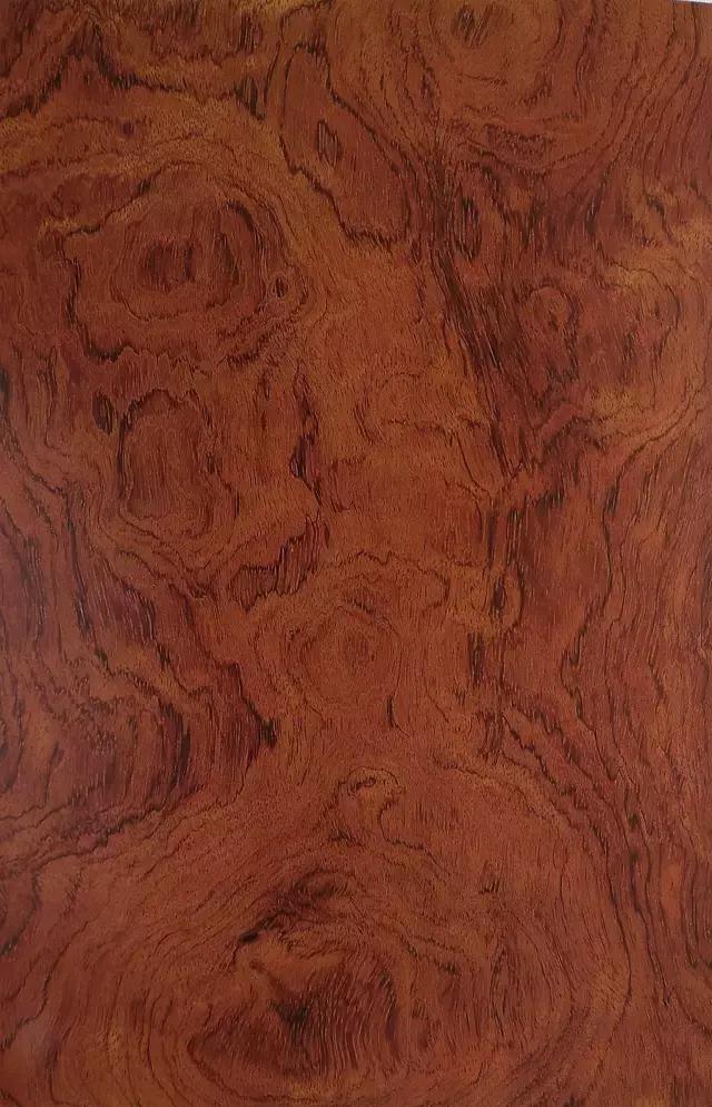 最美木皮,轻奢极简天然木皮